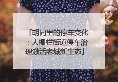 胡同里的停车变化：大栅栏街道停车治理激活老城新生态