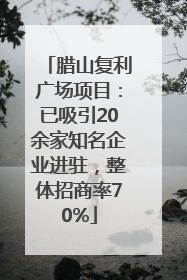 腊山复利广场项目：已吸引20余家知名企业进驻，整体招商率70%