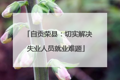 自贡荣县：切实解决失业人员就业难题
