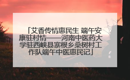 艾香传情惠民生 端午安康驻村情——河南中医药大学驻西峡县寨根乡桑树村工作队端午中医惠民记