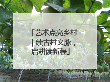 艺术点亮乡村｜续古村文脉，启耕读新程