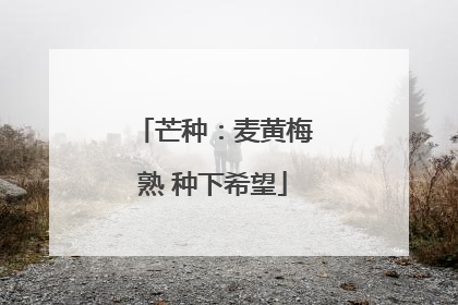 芒种：麦黄梅熟 种下希望