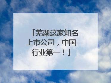 芜湖这家知名上市公司，中国行业第一！