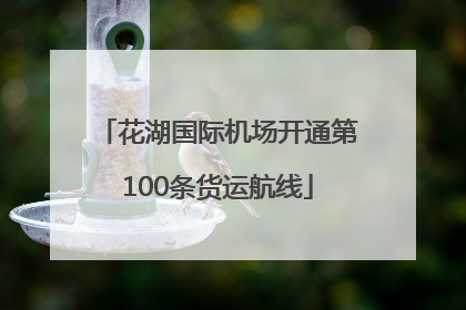 花湖国际机场开通第100条货运航线