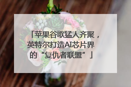 苹果谷歌猛人齐聚，英特尔打造AI芯片界的“复仇者联盟”
