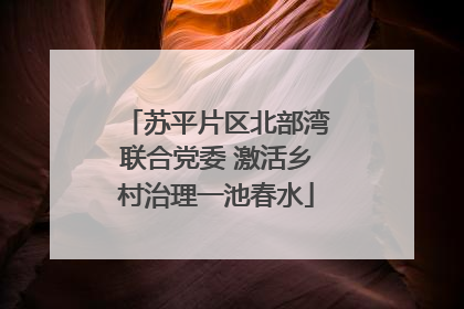 苏平片区北部湾联合党委 激活乡村治理一池春水