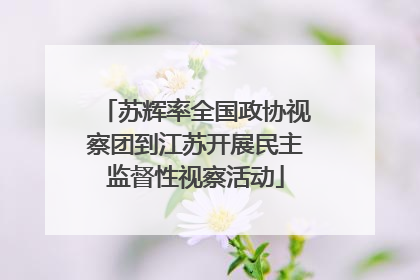 苏辉率全国政协视察团到江苏开展民主监督性视察活动