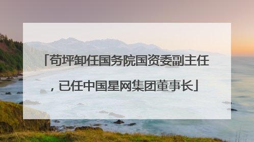 苟坪卸任国务院国资委副主任，已任中国星网集团董事长