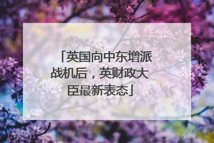 英国向中东增派战机后，英财政大臣最新表态