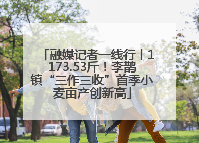 融媒记者一线行丨1173.53斤！李鹊镇“三作三收”首季小麦亩产创新高