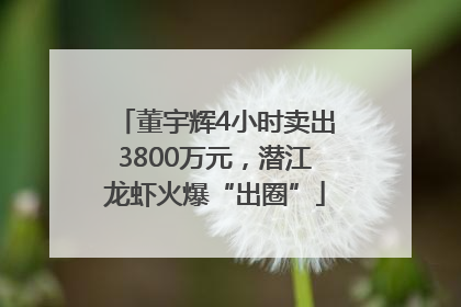 董宇辉4小时卖出3800万元，潜江龙虾火爆“出圈”