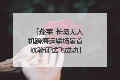 蓬莱-长岛无人机跨海运输场景首航验证试飞成功