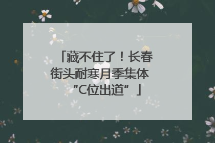 藏不住了！长春街头耐寒月季集体“C位出道”