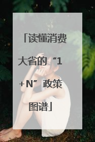 读懂消费大省的“1+N”政策图谱