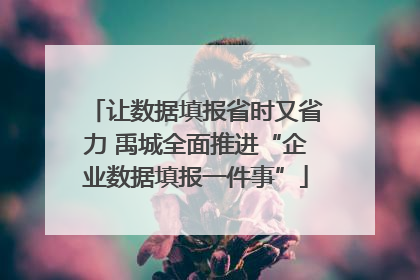 让数据填报省时又省力 禹城全面推进“企业数据填报一件事”