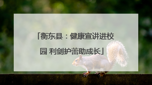 衡东县：健康宣讲进校园 利剑护蕾助成长