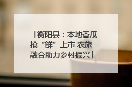 衡阳县：本地香瓜抢“鲜”上市 农旅融合助力乡村振兴