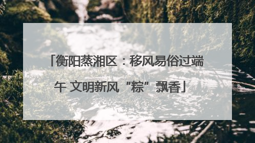 衡阳蒸湘区：移风易俗过端午 文明新风“粽”飘香