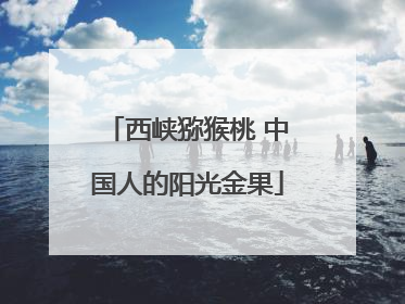 西峡猕猴桃 中国人的阳光金果
