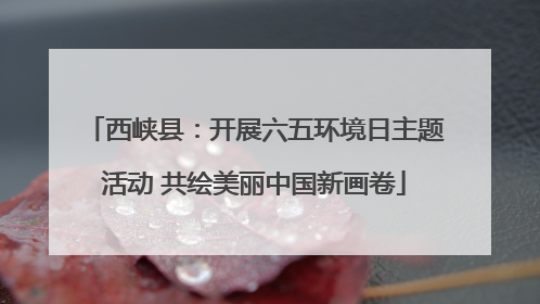 西峡县：开展六五环境日主题活动 共绘美丽中国新画卷