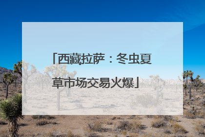 西藏拉萨：冬虫夏草市场交易火爆