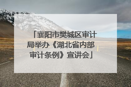 襄阳市樊城区审计局举办《湖北省内部审计条例》宣讲会