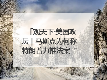 观天下·美国政坛｜马斯克为何称特朗普力推法案“令人作呕”