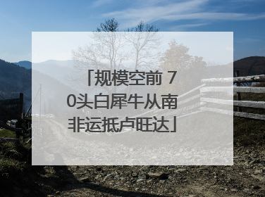 规模空前 70头白犀牛从南非运抵卢旺达