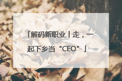 解码新职业丨走，一起下乡当“CEO”