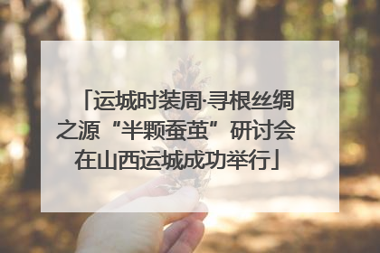 运城时装周·寻根丝绸之源“半颗蚕茧”研讨会在山西运城成功举行