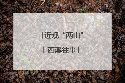 近观“两山”丨西溪往事