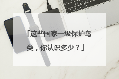 这些国家一级保护鸟类，你认识多少？