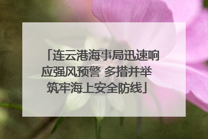 连云港海事局迅速响应强风预警 多措并举筑牢海上安全防线