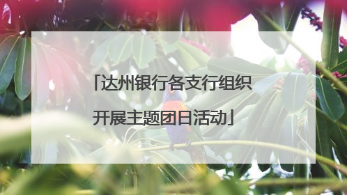 达州银行各支行组织开展主题团日活动