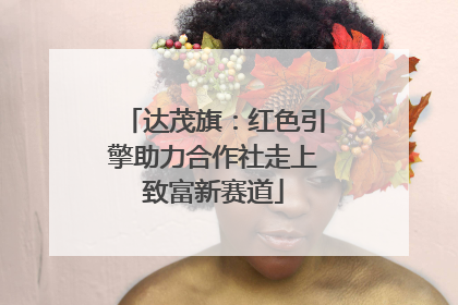 达茂旗：红色引擎助力合作社走上致富新赛道
