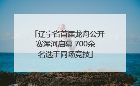 辽宁省首届龙舟公开赛浑河启幕 700余名选手同场竞技