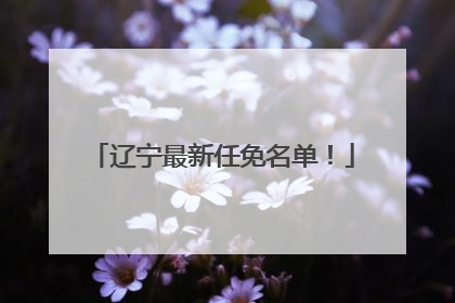 辽宁最新任免名单！