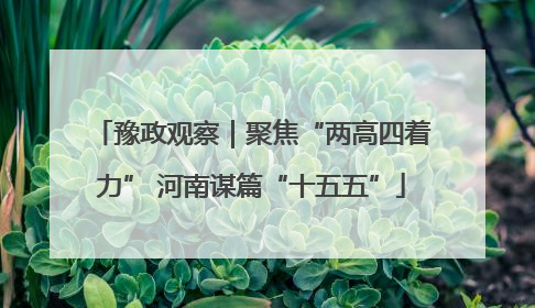 豫政观察｜聚焦“两高四着力” 河南谋篇“十五五”