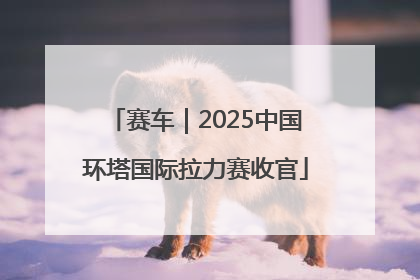 赛车｜2025中国环塔国际拉力赛收官