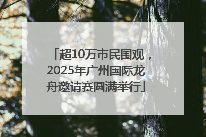 超10万市民围观，2025年广州国际龙舟邀请赛圆满举行