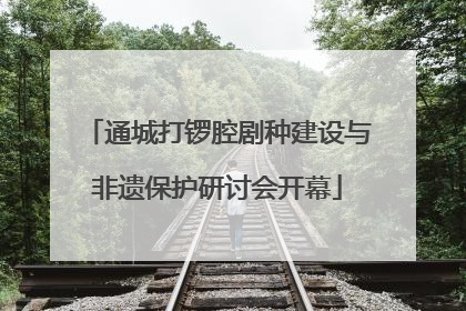 通城打锣腔剧种建设与非遗保护研讨会开幕