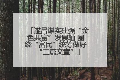 遂昌谋实建强“金色共富”发展轴 围绕“富民”统筹做好“三篇文章”