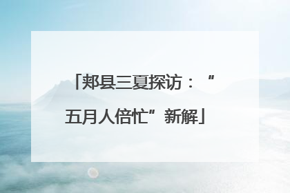 郏县三夏探访：“五月人倍忙”新解