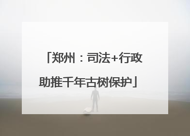郑州：司法+行政助推千年古树保护