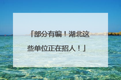 部分有编！湖北这些单位正在招人！