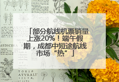 部分航线机票销量上涨20%！端午假期，成都中短途航线市场“热”
