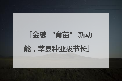 金融 “育苗” 新动能，莘县种业拔节长
