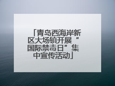 青岛西海岸新区大场镇开展“国际禁毒日”集中宣传活动