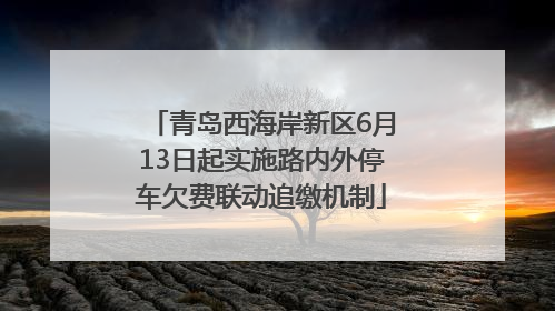 青岛西海岸新区6月13日起实施路内外停车欠费联动追缴机制