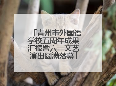 青州市外国语学校五周年成果汇报暨六一文艺演出圆满落幕